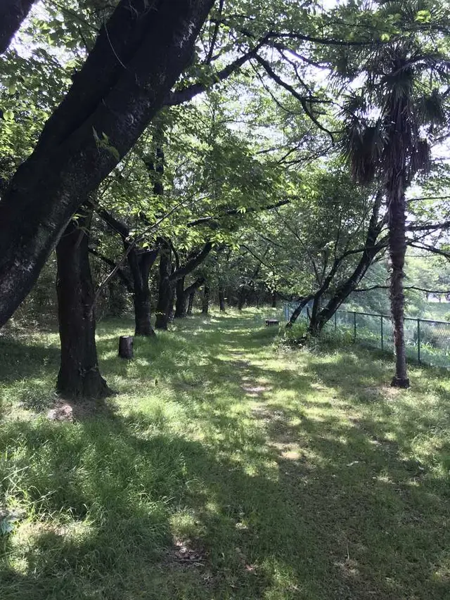 長成池