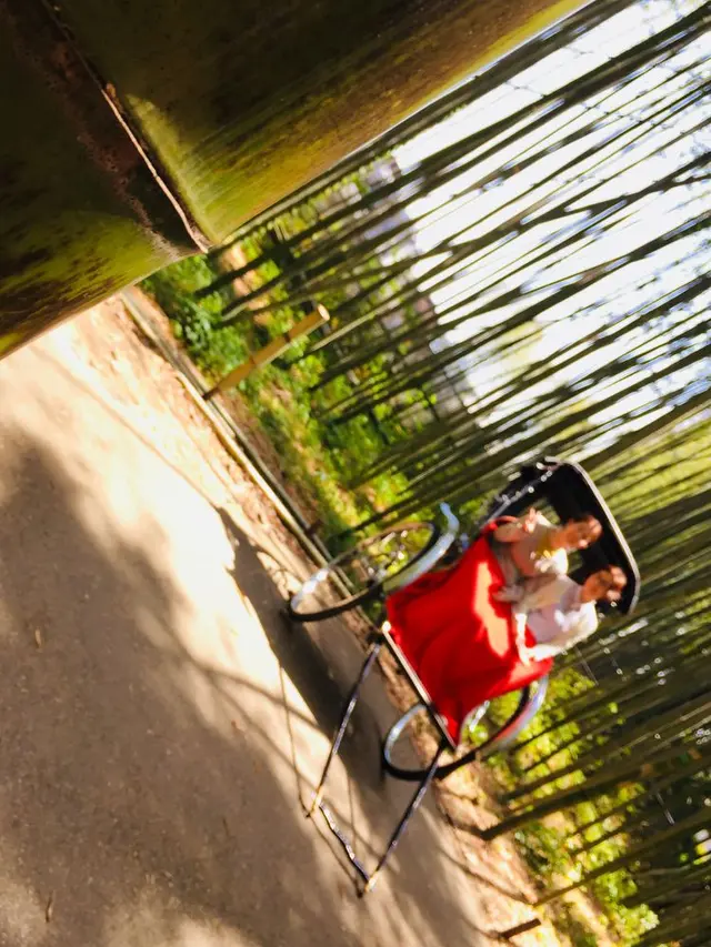 嵐山 竹林の小径