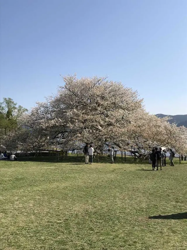 箱根園