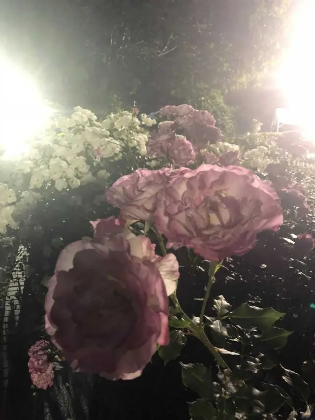 都市緑化植物園