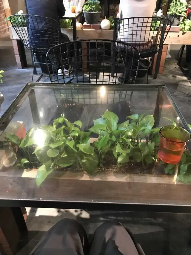 青山フラワーマーケット ティーハウス 南青山本店 （Aoyama Flower Market TEA HOUSE）