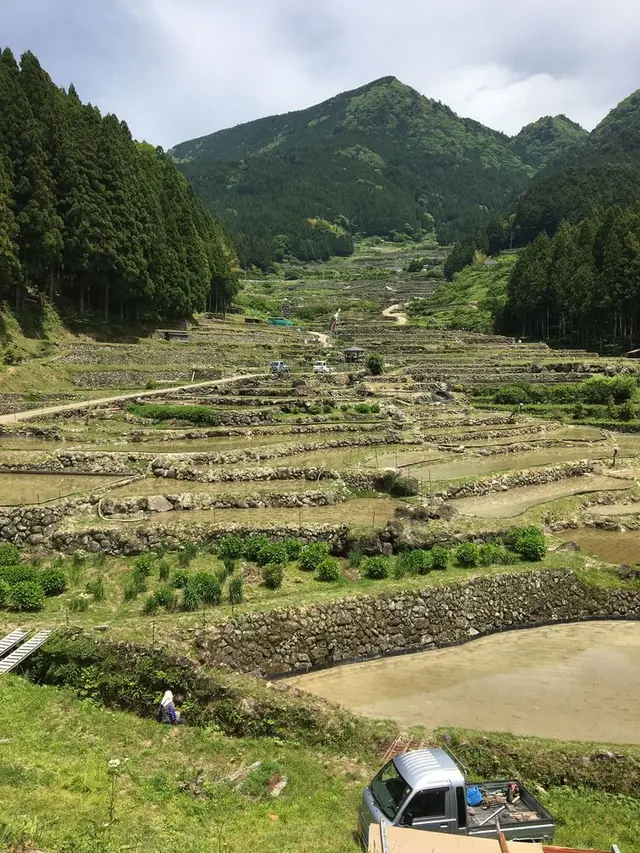 四谷千枚田