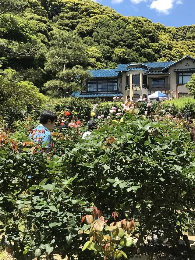 鎌倉文学館