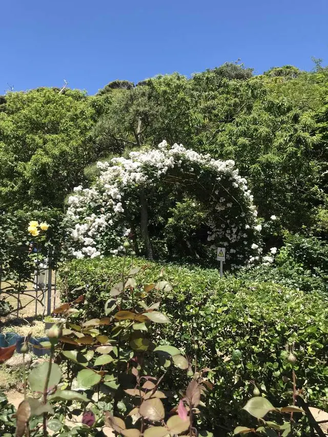 鎌倉文学館