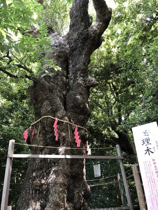 城山八幡宮
