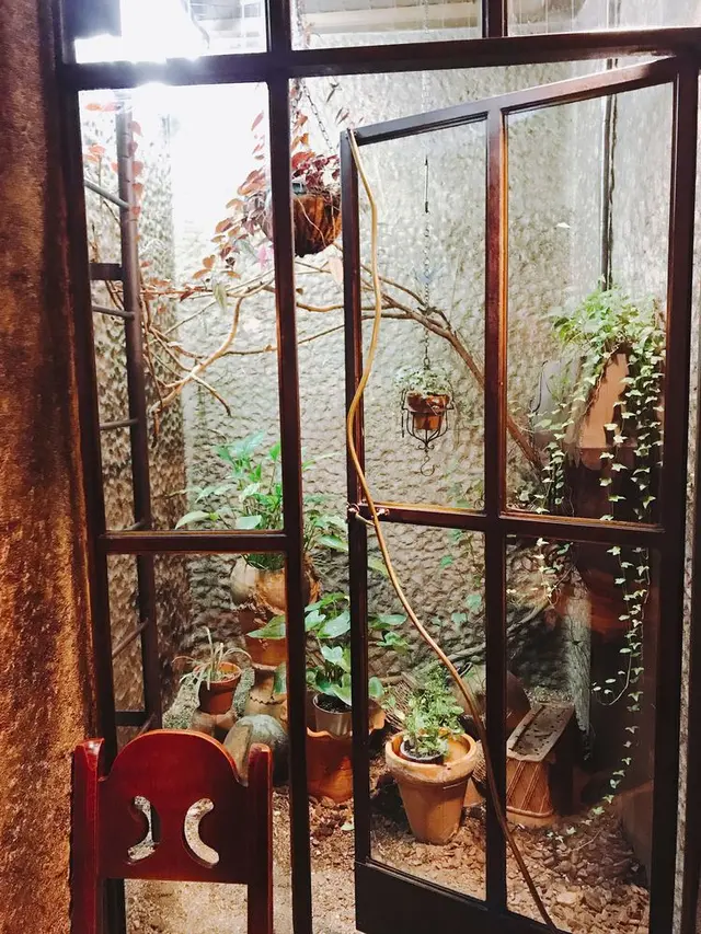 COFFEE HALL くぐつ草