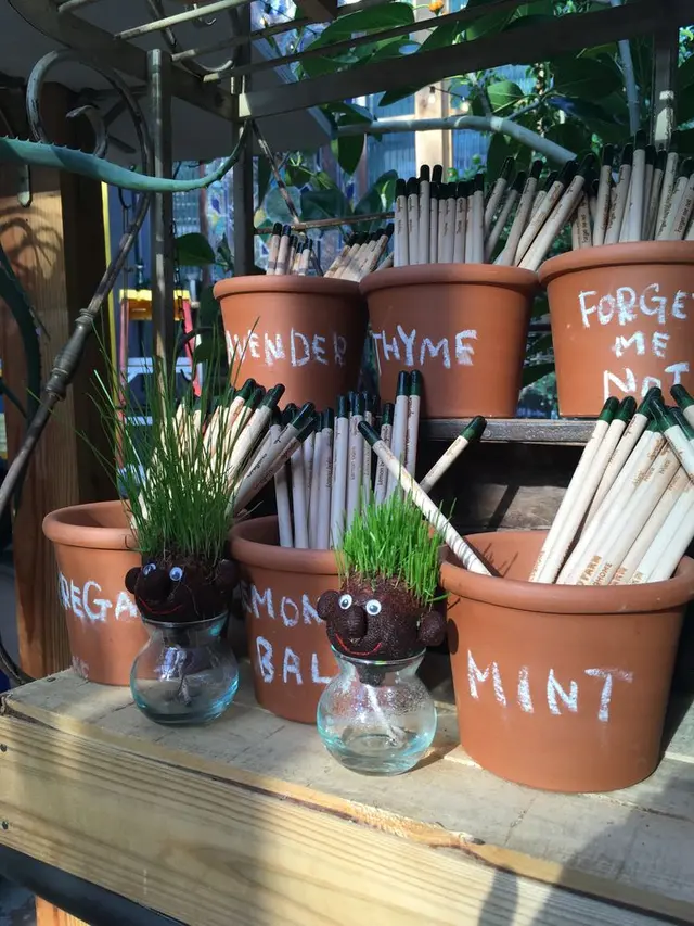 ソルソファーム