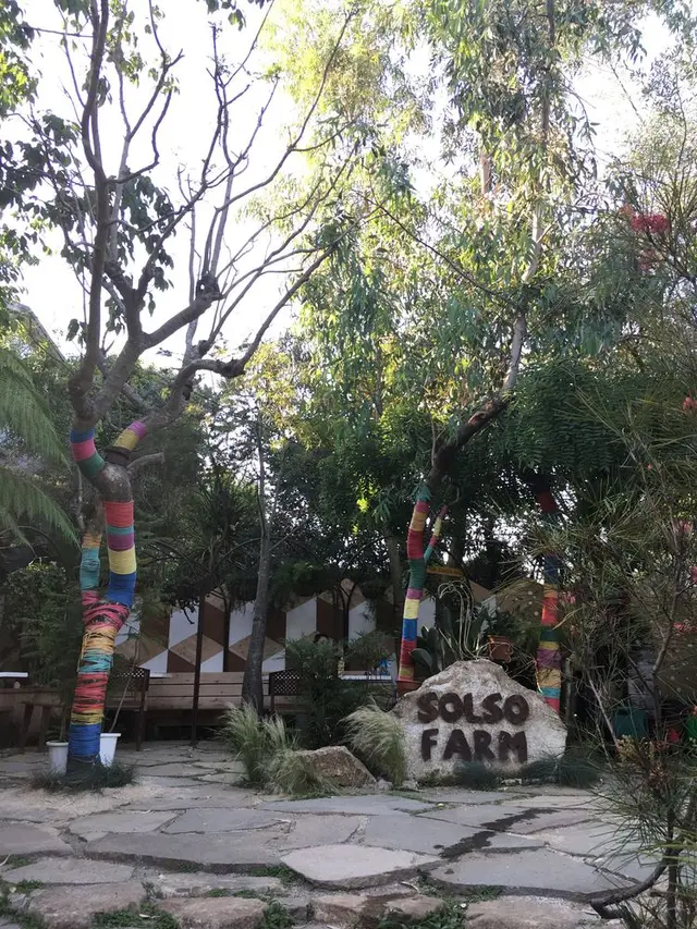 ソルソファーム