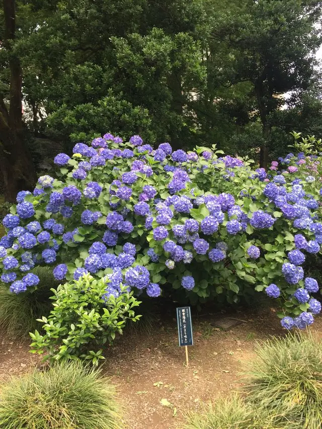 六義園