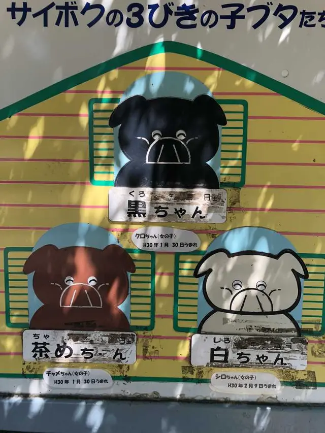 サイボク園内（旧：埼玉種畜牧場）