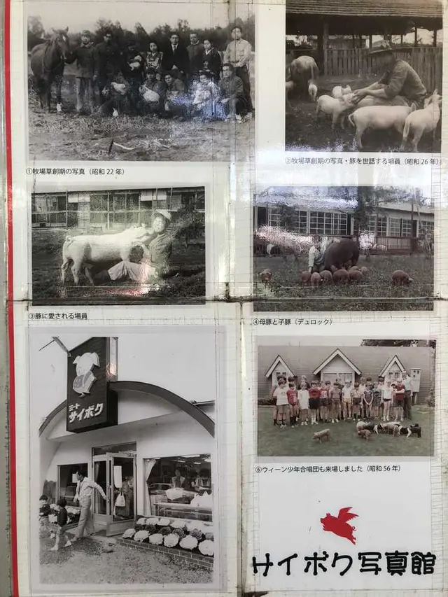 サイボク園内（旧：埼玉種畜牧場）