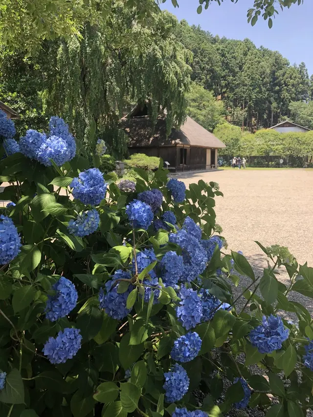 高麗家住宅