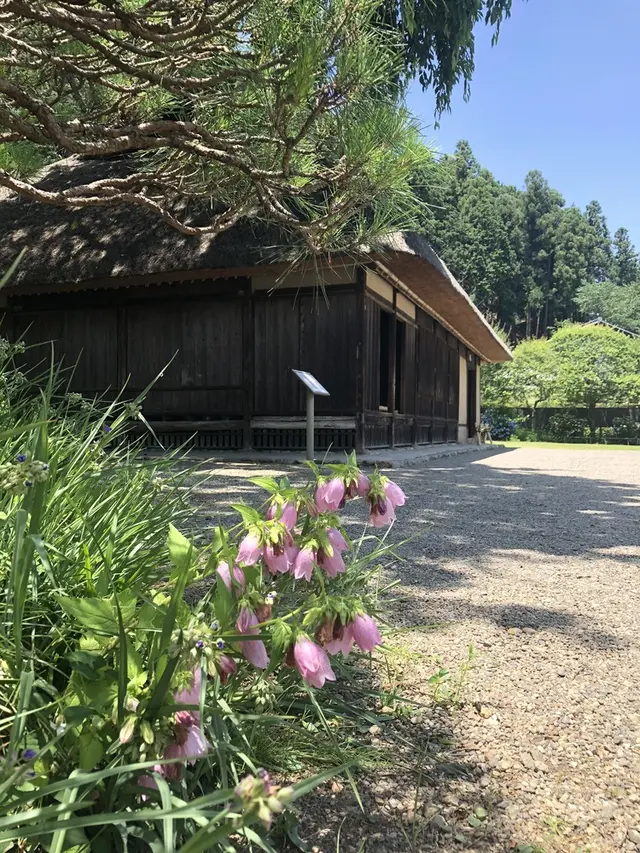 高麗家住宅