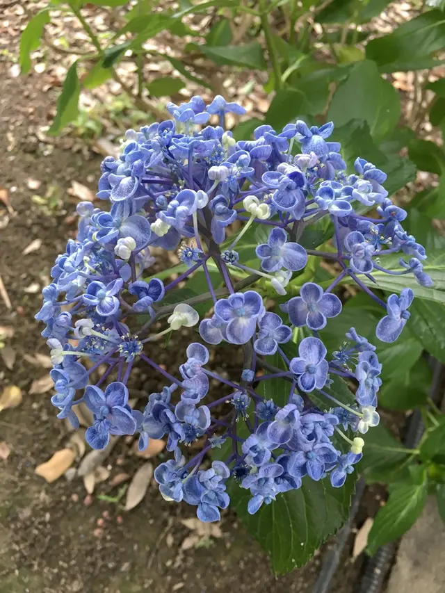 大塚性海寺歴史公園