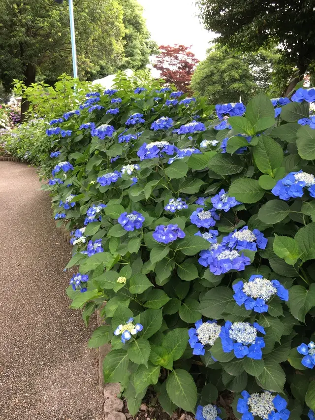 大塚性海寺歴史公園