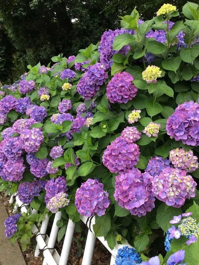 大塚性海寺歴史公園