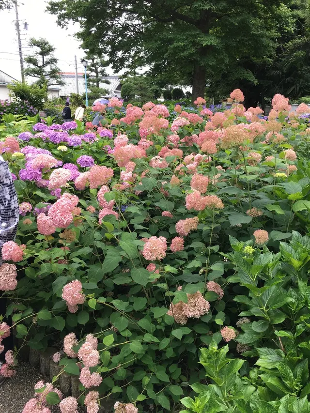 大塚性海寺歴史公園