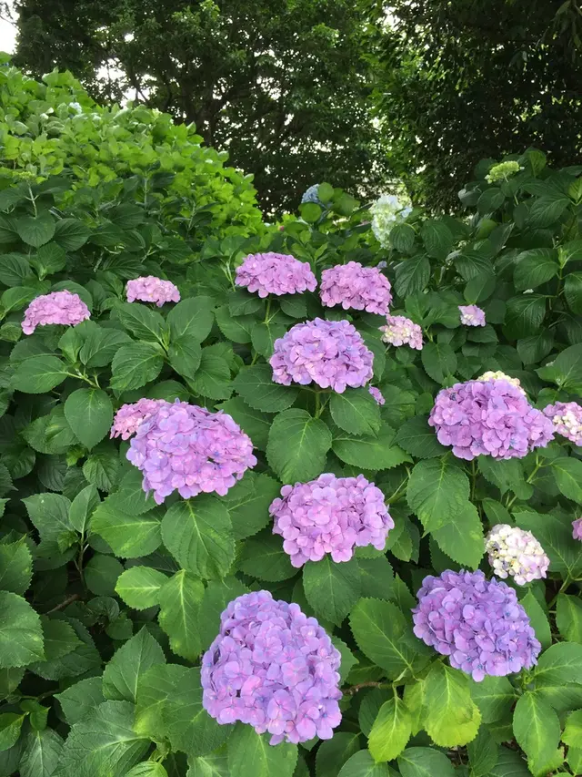 大塚性海寺歴史公園
