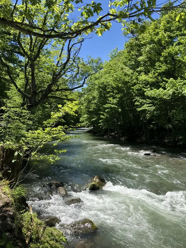 奥入瀬渓流　　