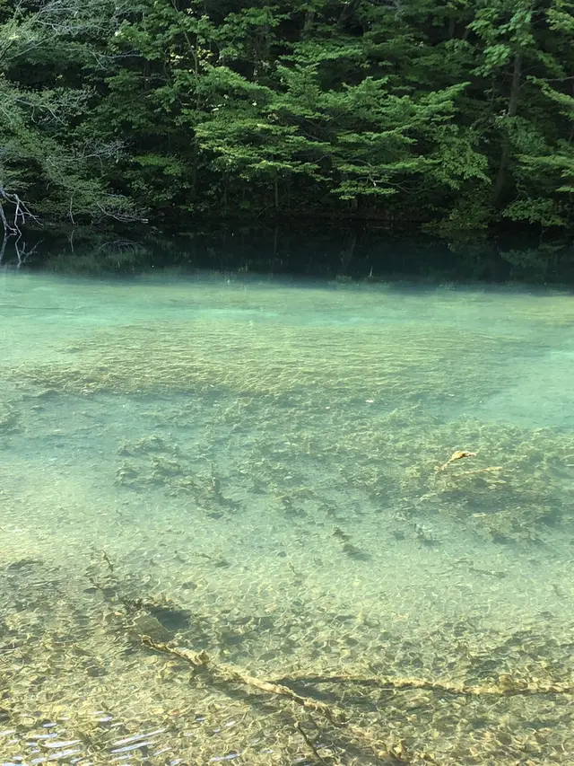 奥入瀬 石ケ戸休憩所