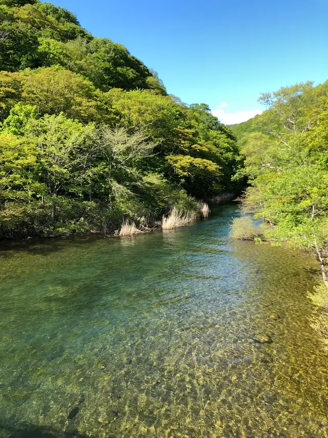 奥入瀬 石ケ戸休憩所