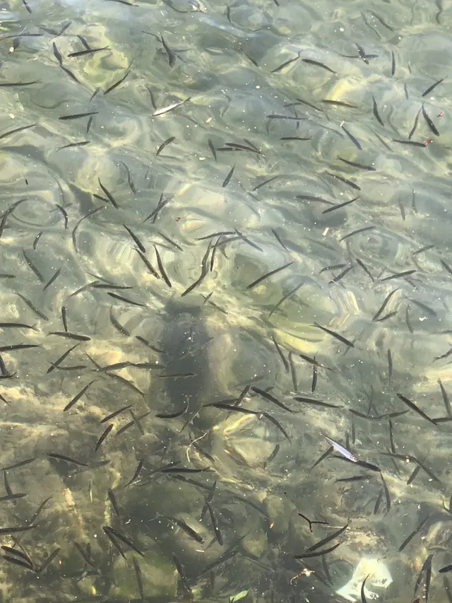 十和田湖