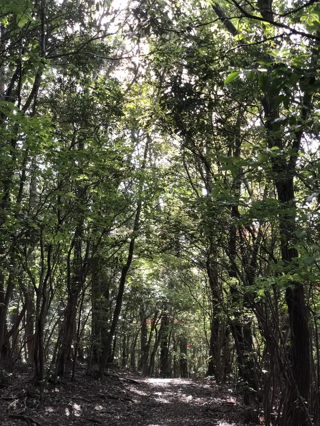 滝尻王子 （熊野古道 中辺路）