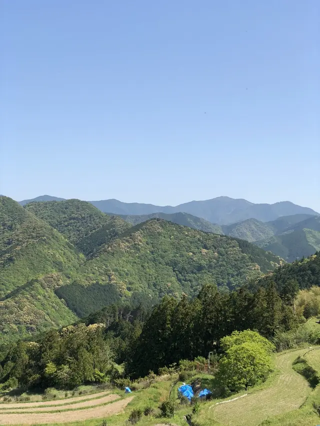 高原熊野神社 （熊野古道 中辺路）