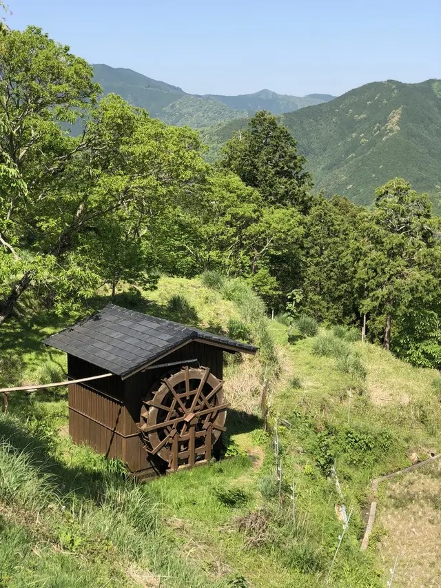 高原熊野神社 （熊野古道 中辺路）