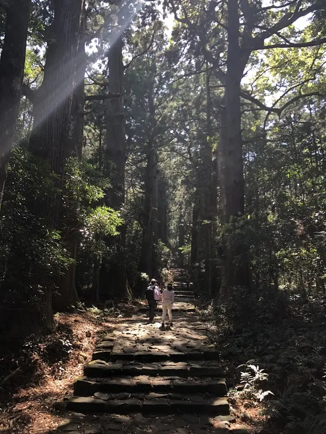 熊野古道大門坂