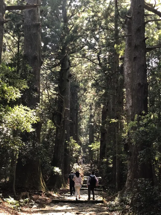 熊野古道大門坂