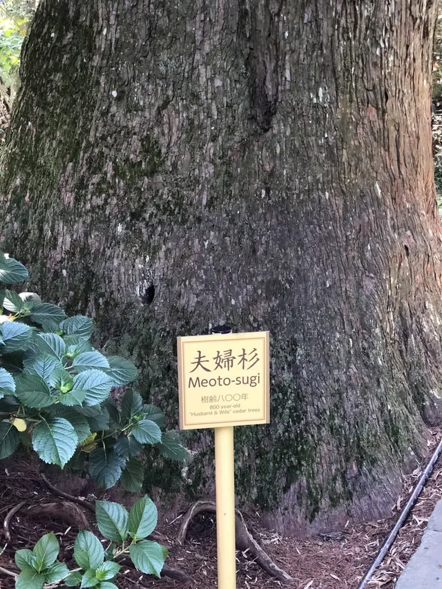 熊野古道大門坂
