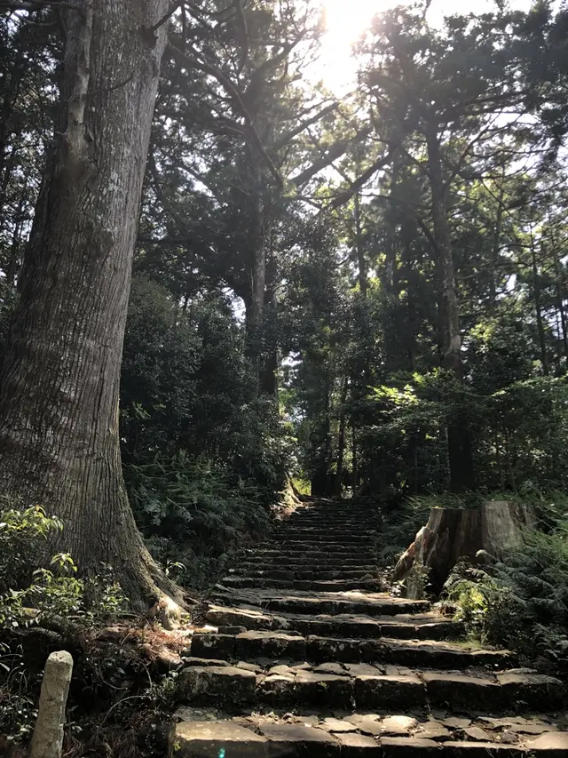 熊野古道大門坂