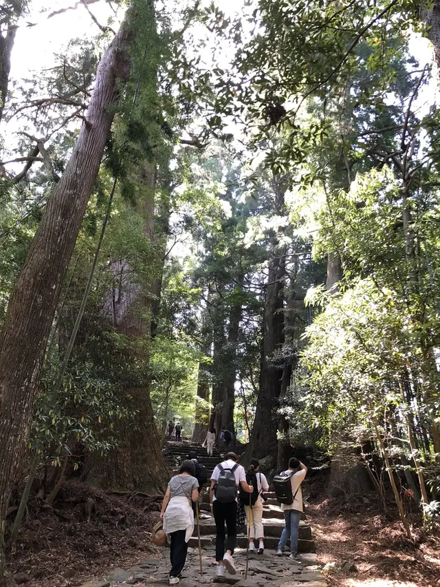 熊野古道大門坂