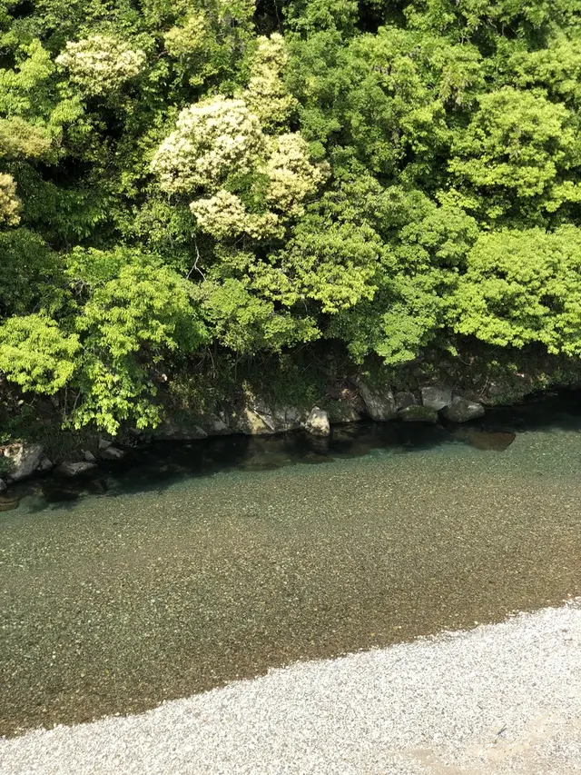 川湯温泉 冨士屋