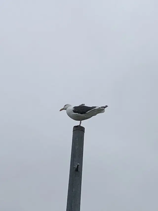 オロンコ岩