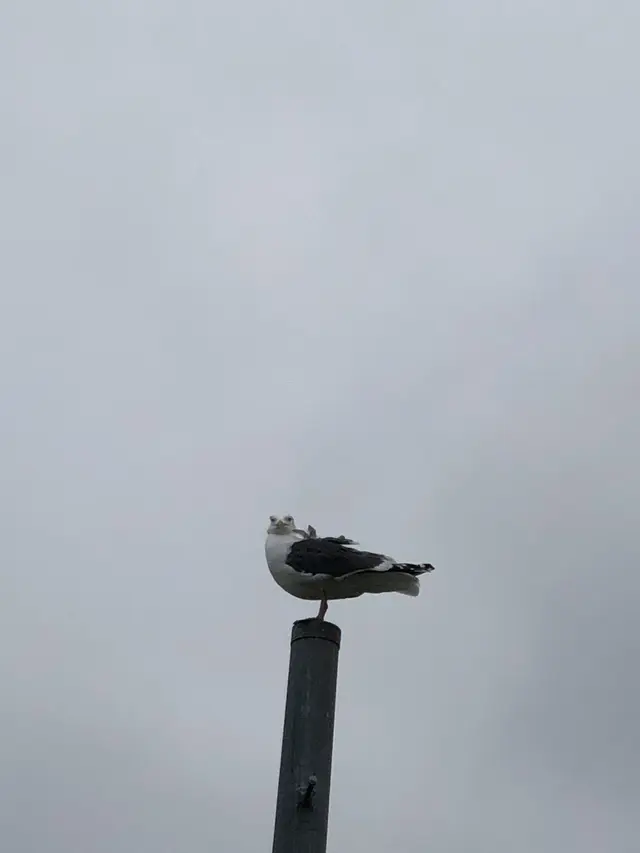 オロンコ岩