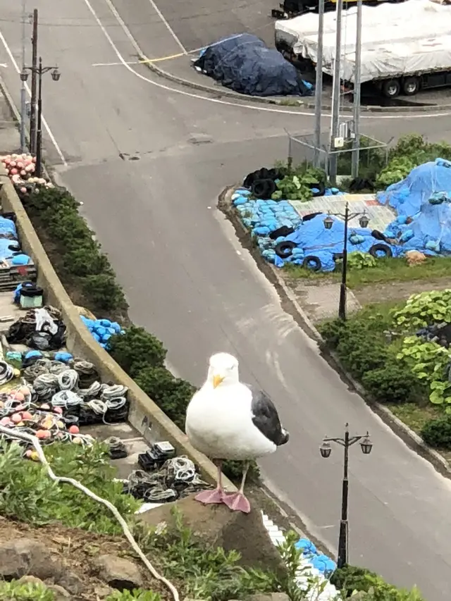 オロンコ岩