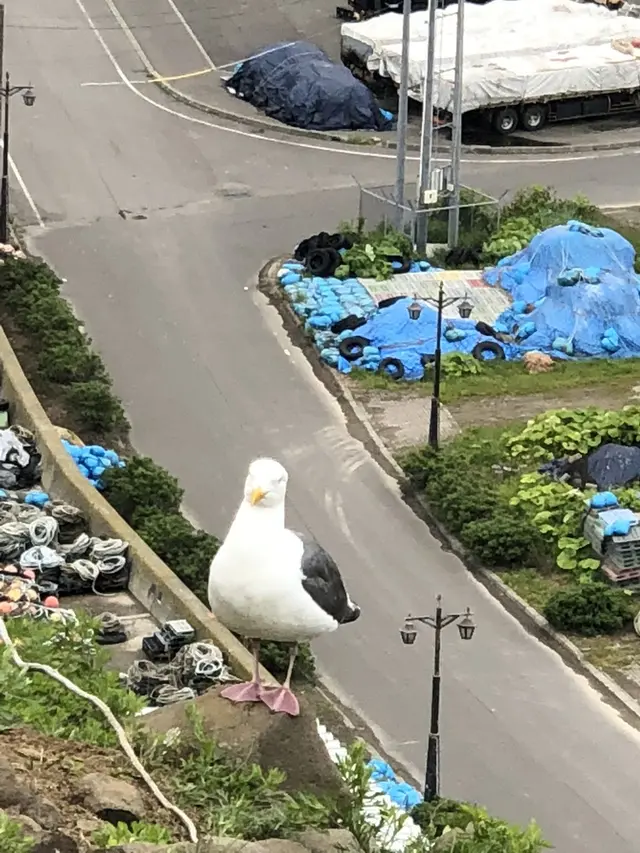 オロンコ岩