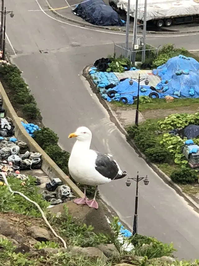 オロンコ岩