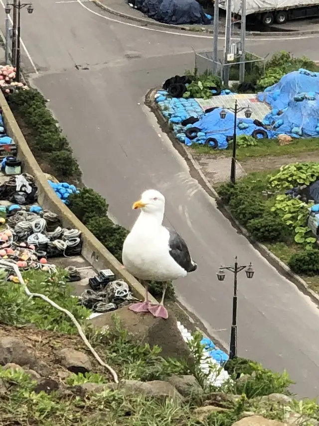 オロンコ岩