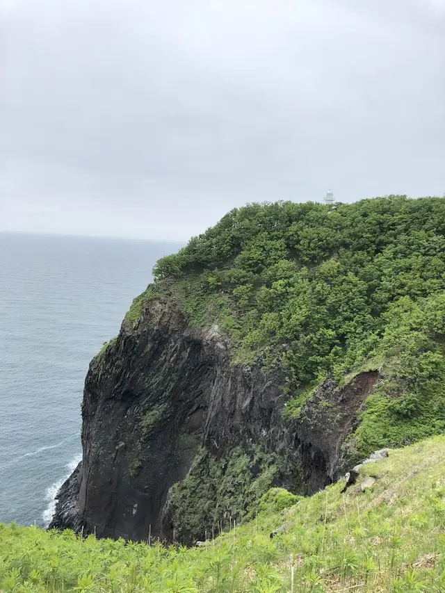 知床自然センター