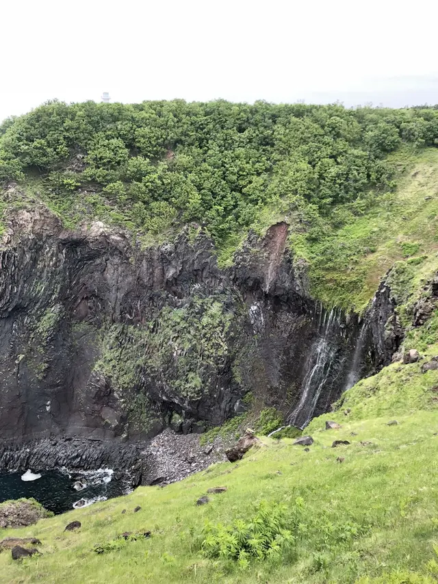 知床自然センター