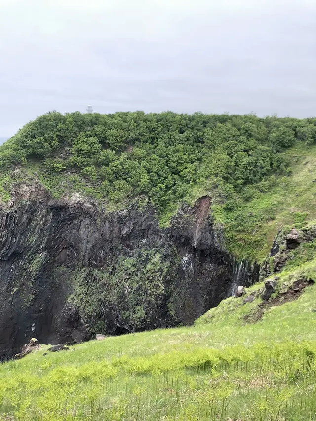 知床自然センター