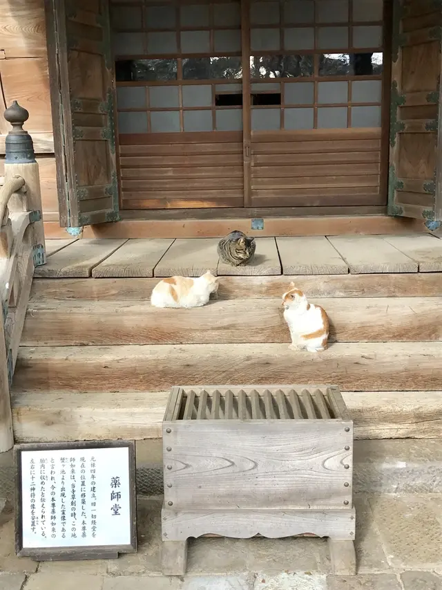 護国寺
