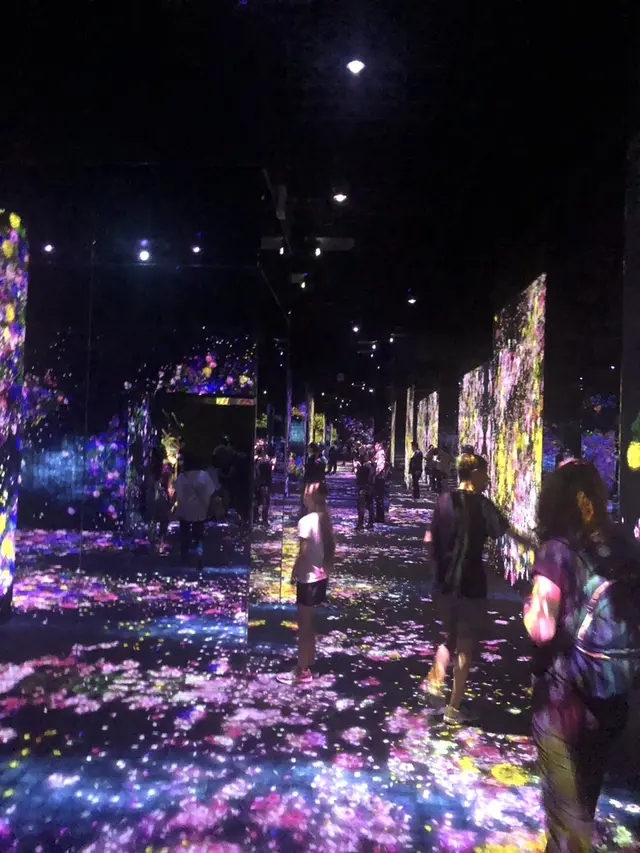 【閉業】森ビルデジタルアートミュージアム：エプソン チームラボボーダレス（MORI Building Digital Art Museum: EPSON teamLab Borderless）