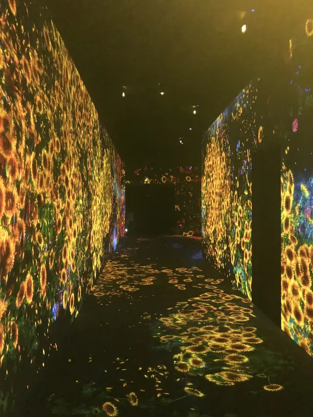 【閉業】森ビルデジタルアートミュージアム：エプソン チームラボボーダレス（MORI Building Digital Art Museum: EPSON teamLab Borderless）