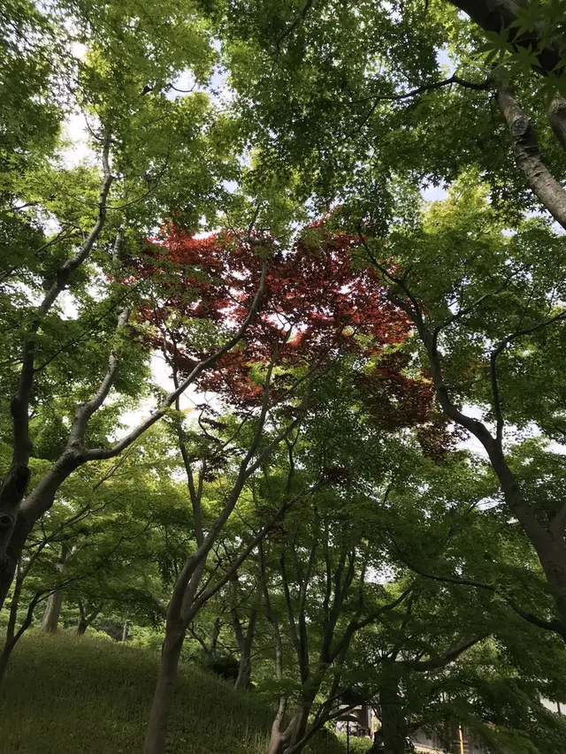 MOA美術館