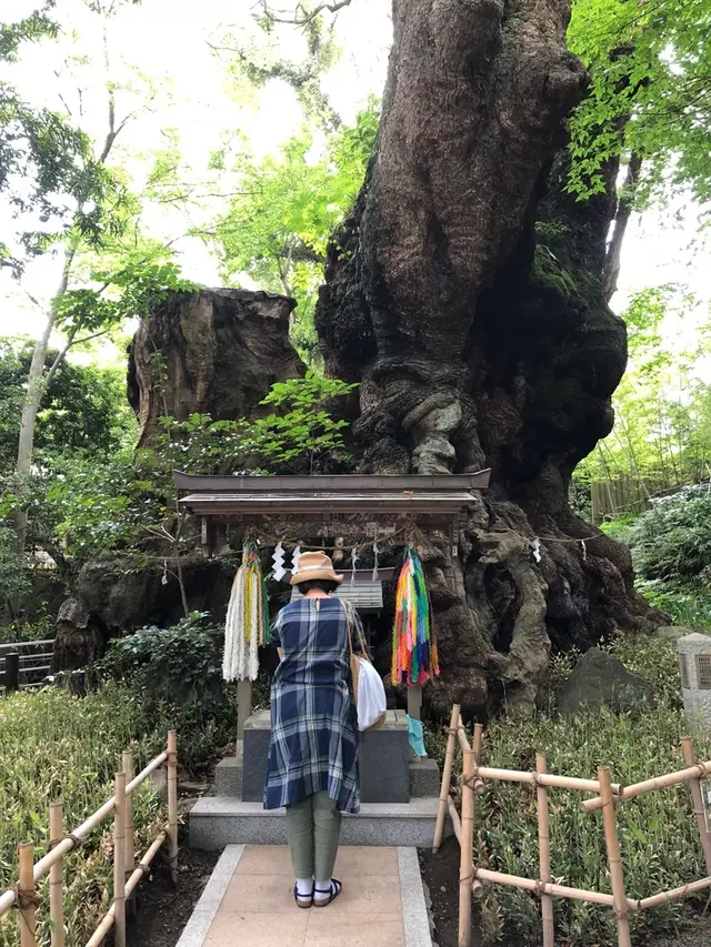 來宮神社