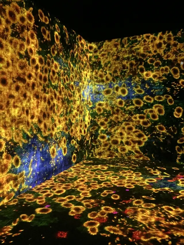 【閉業】森ビルデジタルアートミュージアム：エプソン チームラボボーダレス（MORI Building Digital Art Museum: EPSON teamLab Borderless）